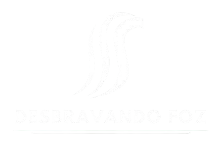 Desbravando Foz